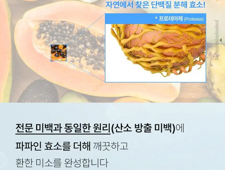 [인체시험적용완료] 프로벨 메디테라 미백 치약 100g 1개입/3개입 상세페이지 13